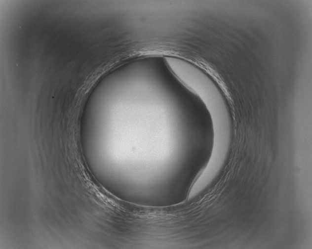 X0000081560385200702121401