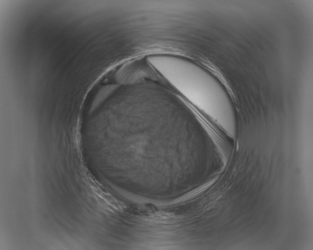 X0000081560387200702121401