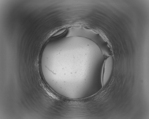 X0000081560389200702121401