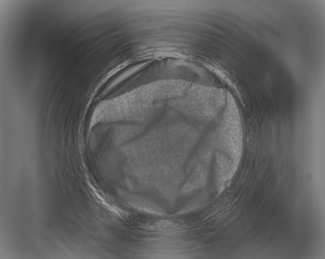X0000081560390200702121401