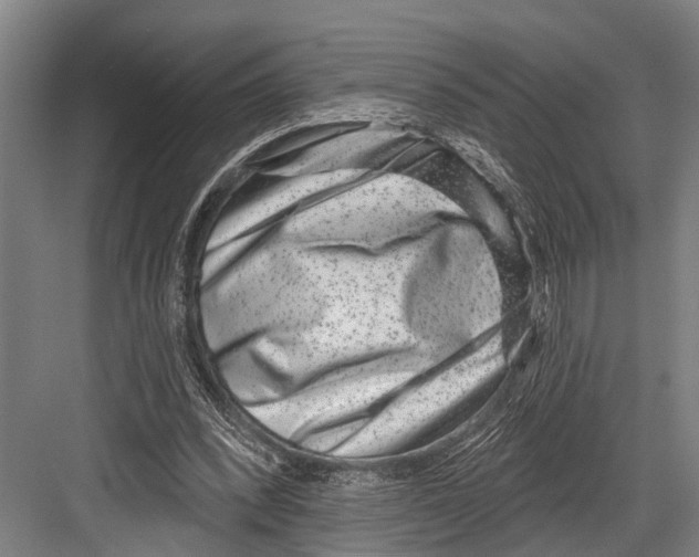 X0000081560392200702121401