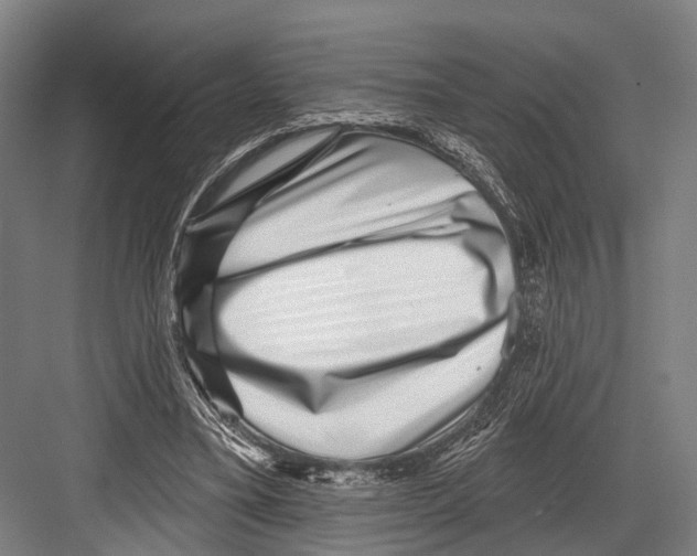 X0000081560395200702121401