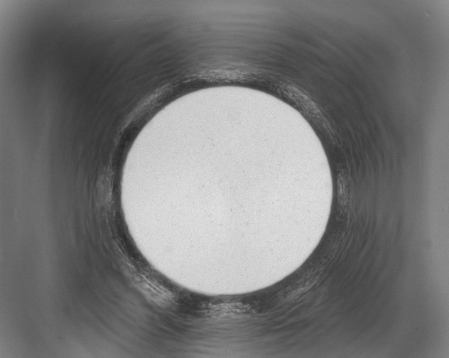X0000081560396200702121401