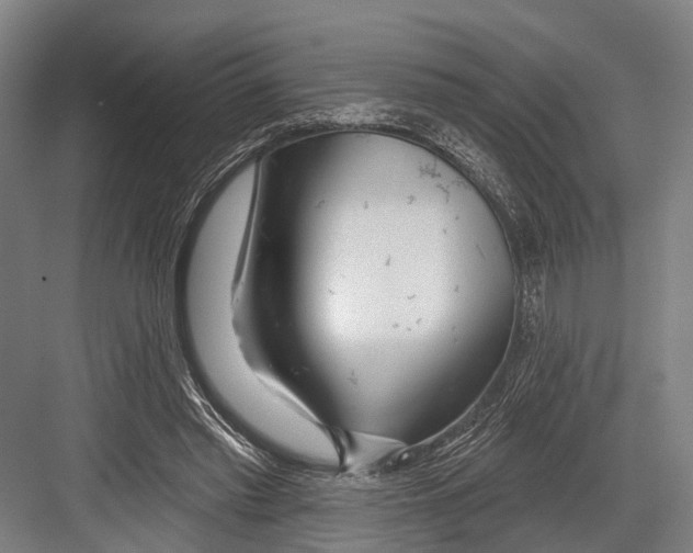 X0000081560397200702121401
