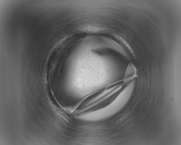 X0000081560399200702121401