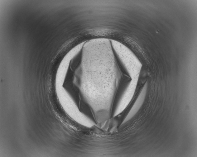 X0000081560400200702121401