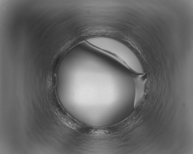 X0000081560407200702121401