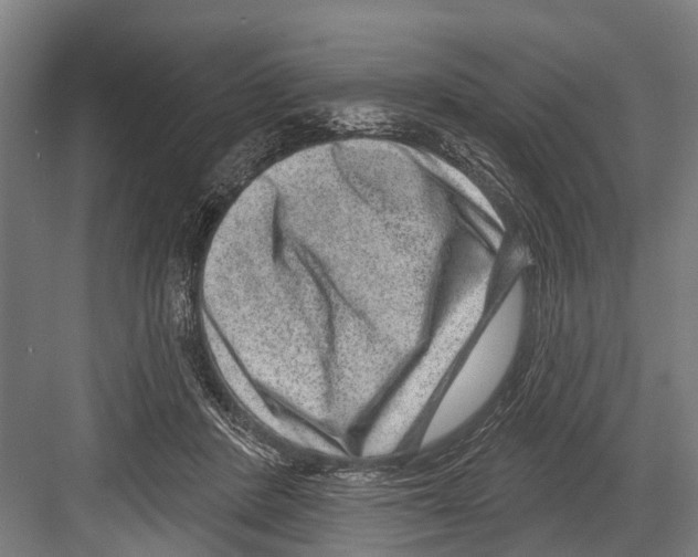 X0000081560408200702121401