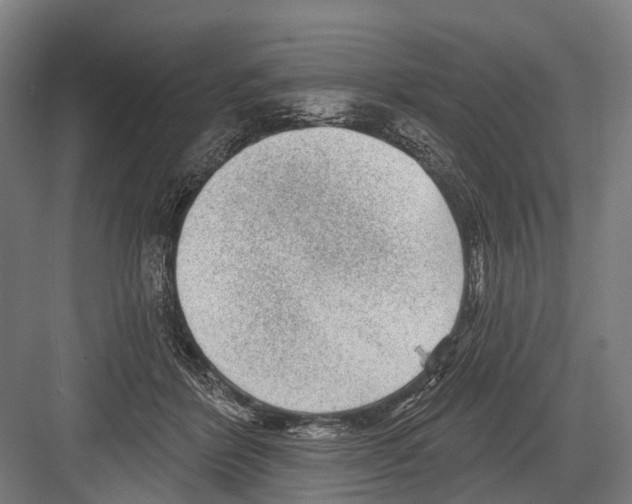 X0000081560412200702121401