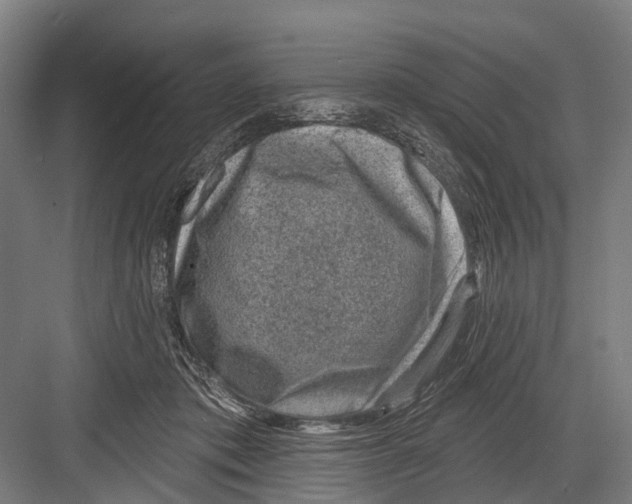 X0000081560413200702121401