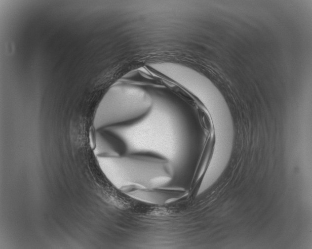 X0000081560416200702121401