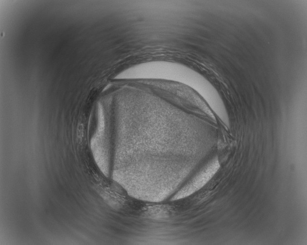 X0000081560417200702121401