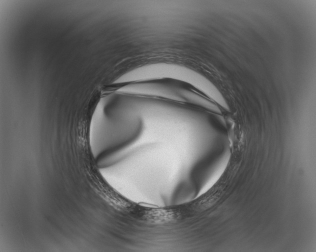 X0000081560421200702121400
