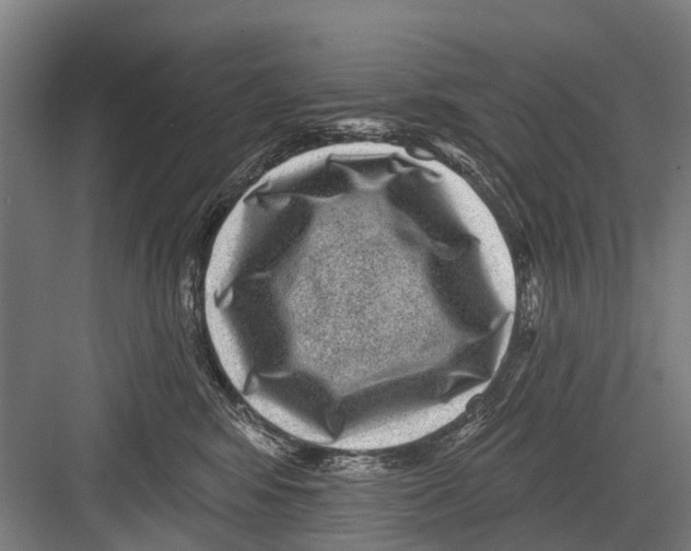 X0000081560424200702121400