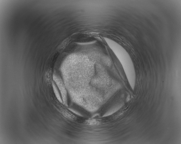 X0000081560425200702121400
