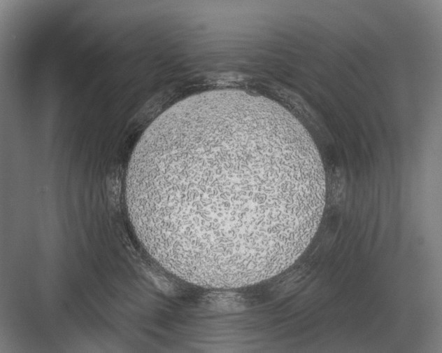 X0000081560427200702121400