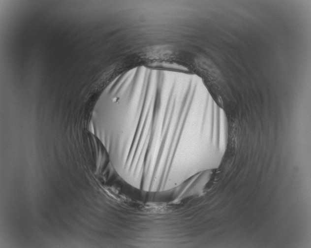 X0000081560428200702121400