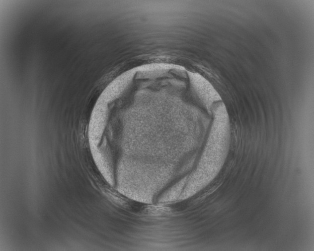 X0000081560429200702121400