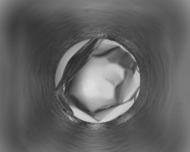 X0000081560432200702121400