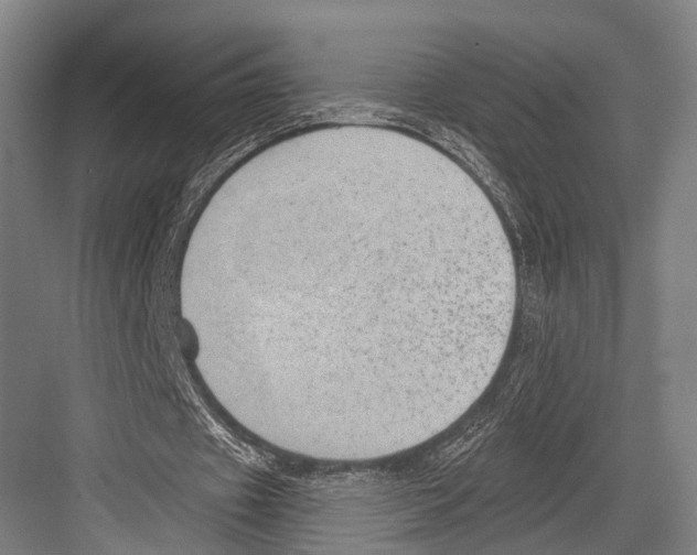 X0000081560433200702121359