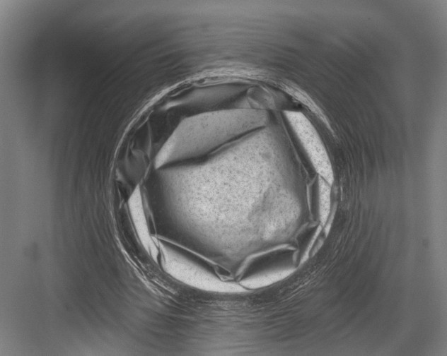 X0000081560436200702121400