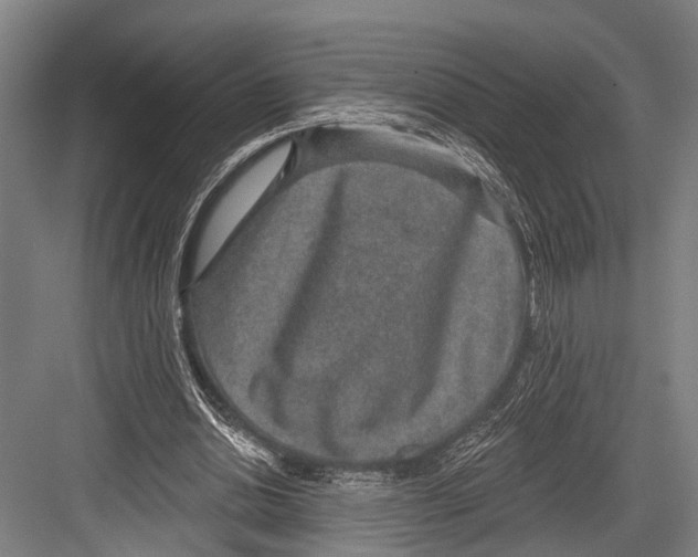X0000081560438200702121400