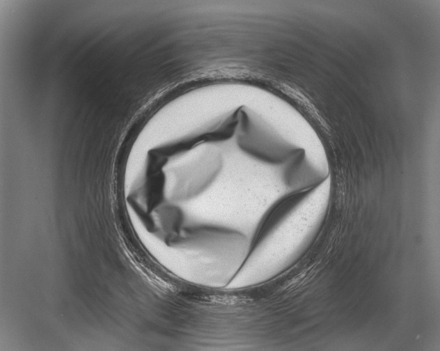 X0000081560439200702121400