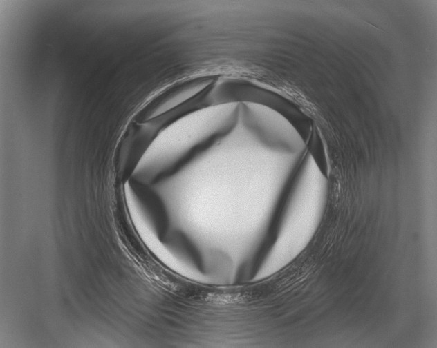 X0000081560440200702121400