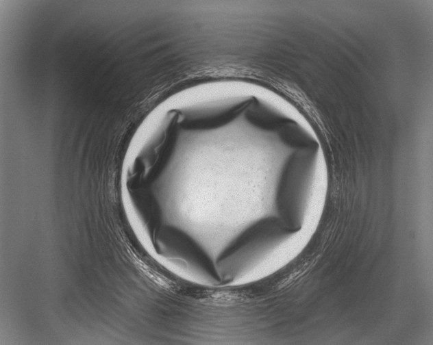 X0000081560441200702121400