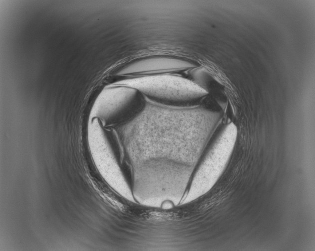 X0000081560442200702121400