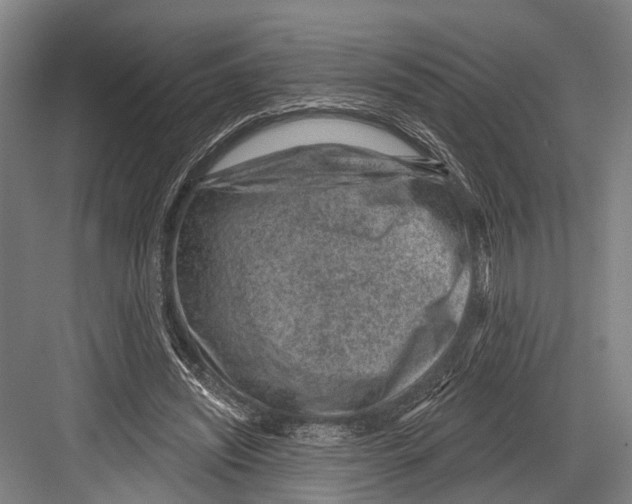 X0000081560444200702121400