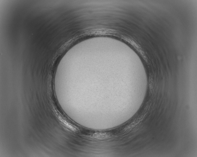 X0000081560445200702121400