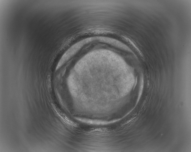 X0000081560447200702121400
