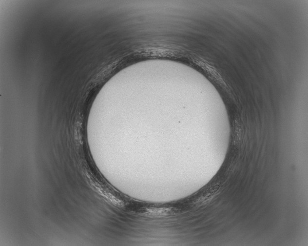 X0000081560450200702121400