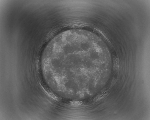 X0000081560451200702121400