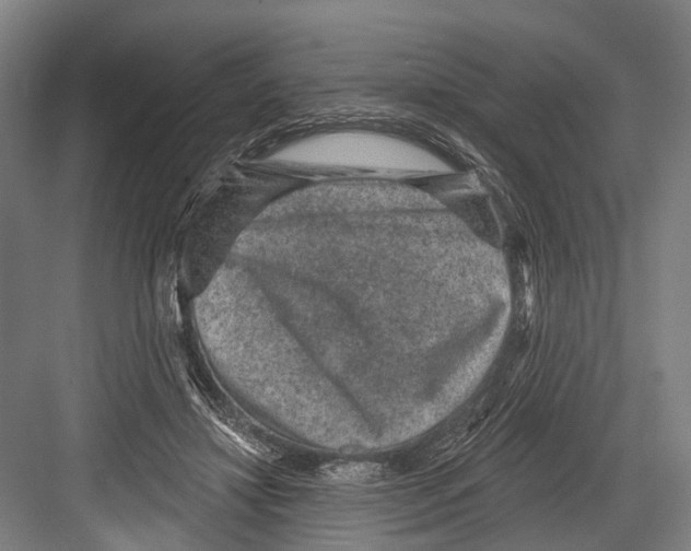 X0000081560452200702121400