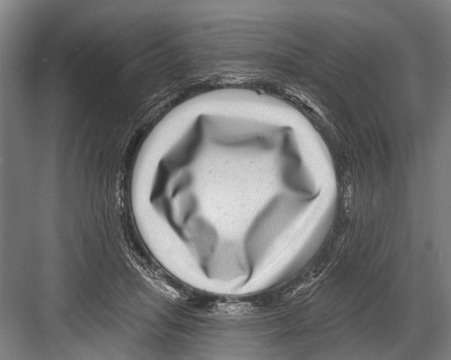 X0000081560455200702121400