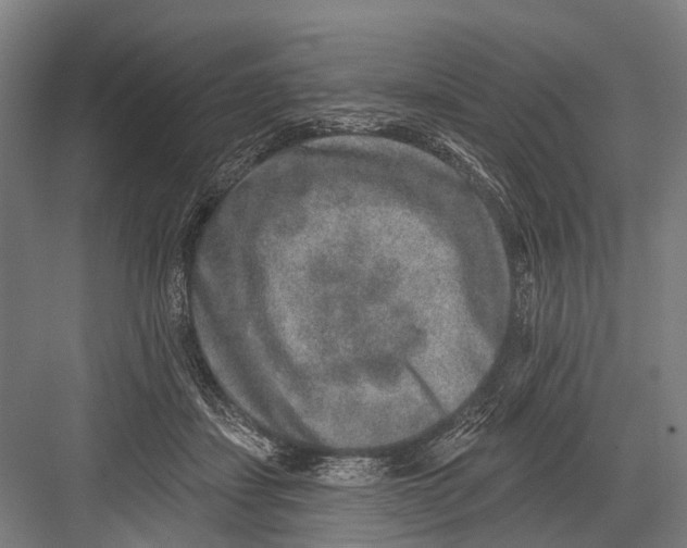 X0000081560459200702121400