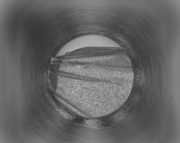 X0000081560461200702121400