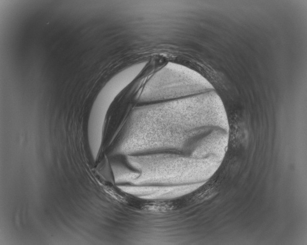 X0000081560466200702121400