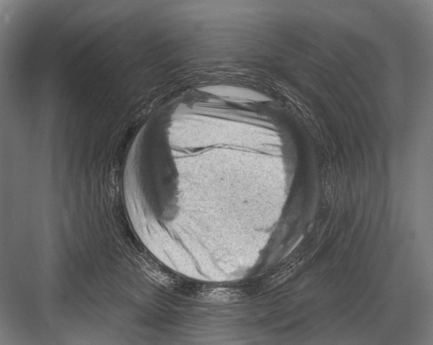 X0000081560467200702121400
