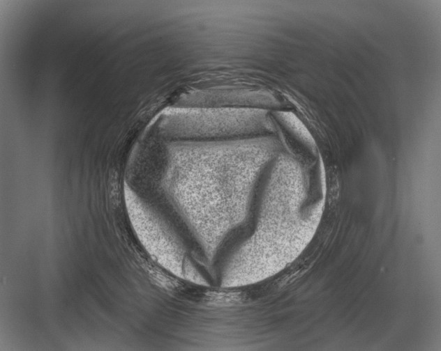 X0000081560469200702121400