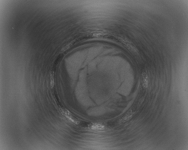X0000081560471200702121400
