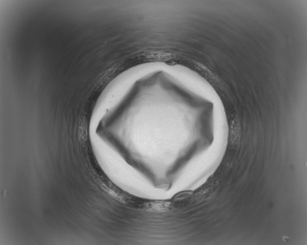 X0000081560474200702121400