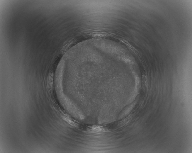 X0000081560475200702121400