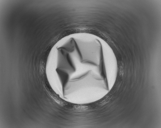 X0000081560476200702121400