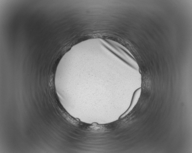 X0000081560477200702121400