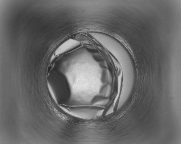 X0000081560481200702121359