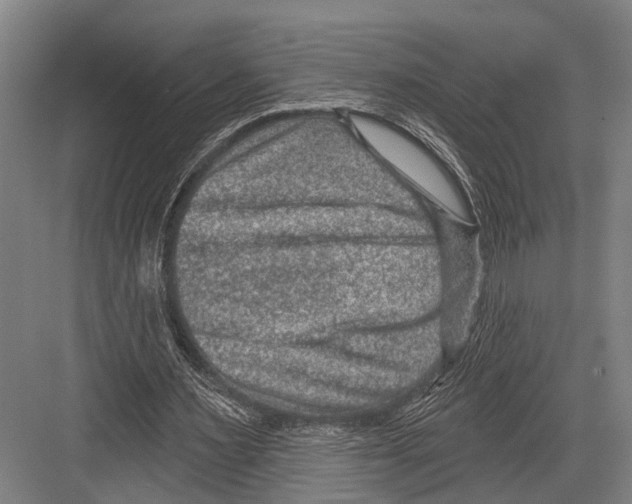 X0000081560483200702121359