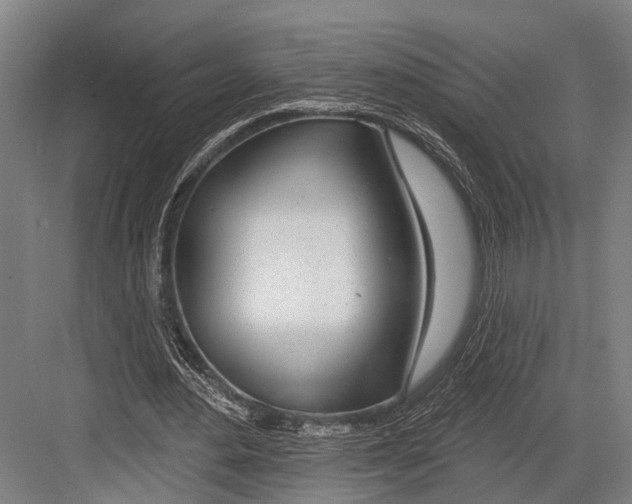 X0000081560484200702121359